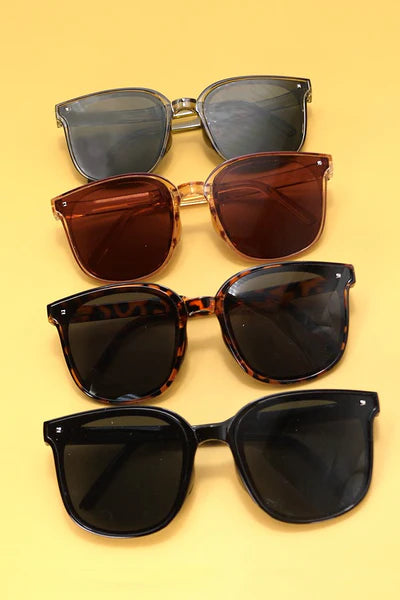 Oversized Acetate Bold Sunnies