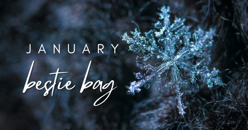 January Bestie Bag