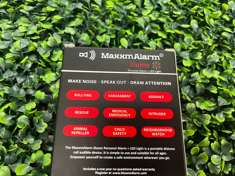 Maxxm Alarm + LED light